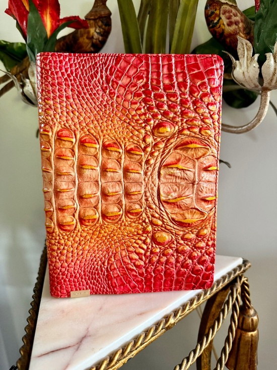 Brahmin Handbags - 😍🤩 NWT Brahmin Sample Infusion Leather Journal Notebook Agenda Front Eye 🤩😍